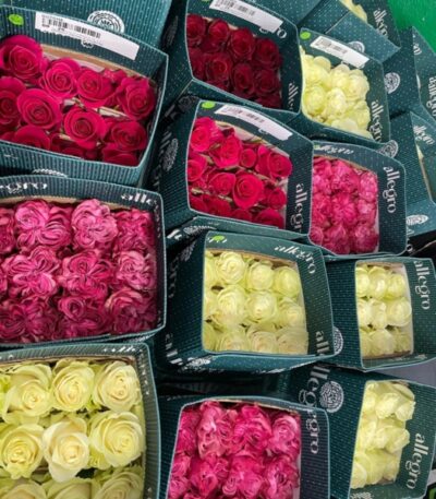 We make a manual selection of our flowers, as well as a careful packaging in order to guarantee the quality during the shipping and arrival to their destination.